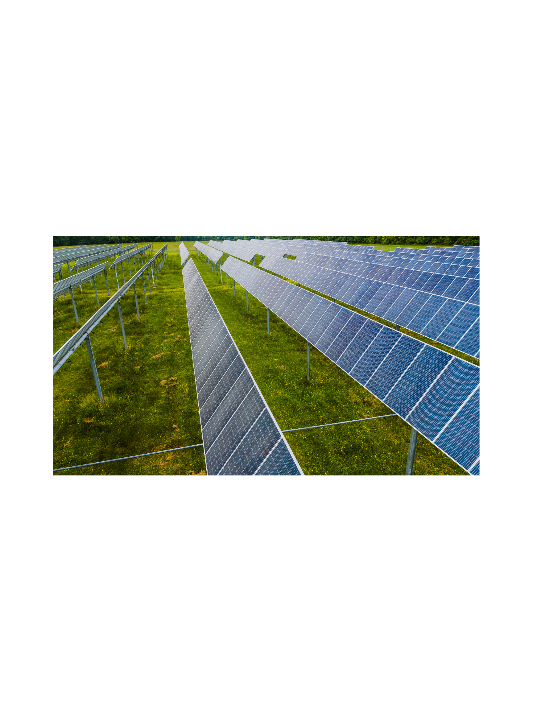 Renewable Energy (Solar Panels)